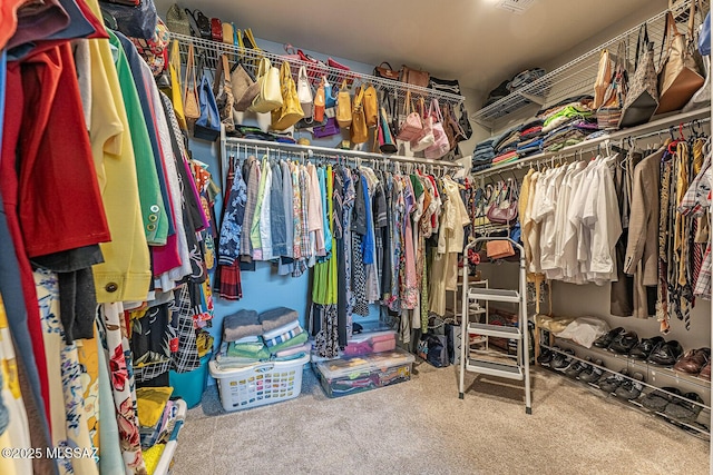 12625 N Wildrose Dr, Marana, AZ 85653 - walk in closet with carpet