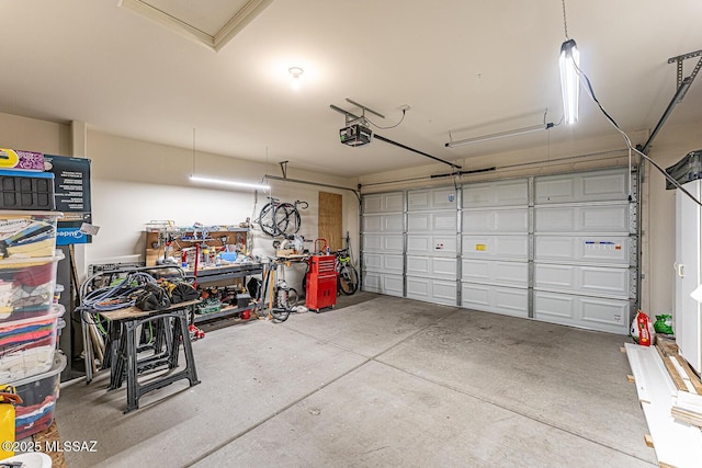 12625 N Wildrose Dr, Marana, AZ 85653 - garage featuring a garage door opener