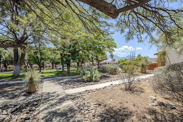 344 S Paseo Sarta Unit C, Green Valley, AZ 85614 - view of property's community