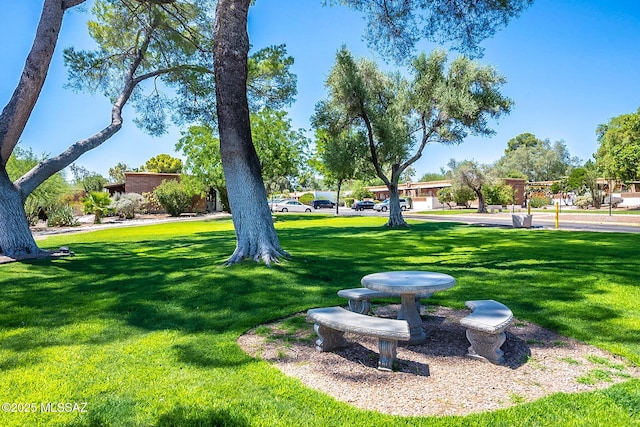 344 S Paseo Sarta Unit C, Green Valley, AZ 85614 - view of grassy yard