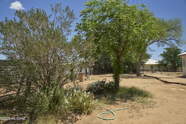 203 N Kellum Ave, Bowie, AZ 85605 - view of yard