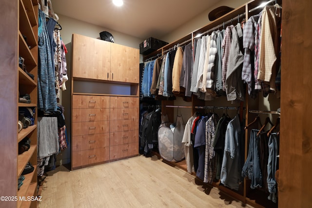 12800 W Arivaca Rd, Amado, AZ 85645 - walk in closet featuring wood finished floors