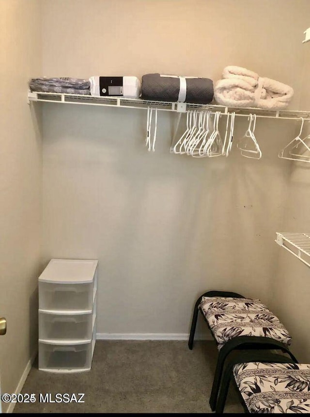 6655 N Canyon Crest Dr Unit 13277, Tucson, AZ 85750 - walk in closet featuring carpet flooring