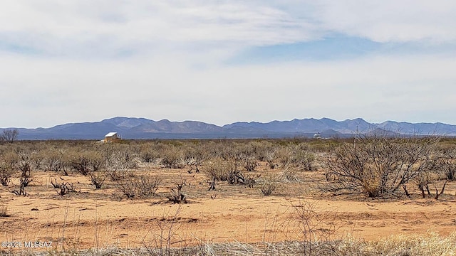 2.5ACOFF Weigand Pratt Rd Unit 1093, Elfrida, AZ 85610