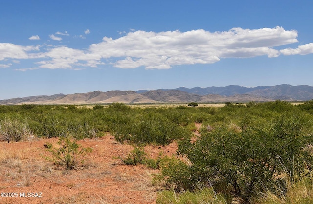 60AC S Cross Creek Rd Unit 4, Pearce, AZ 85625