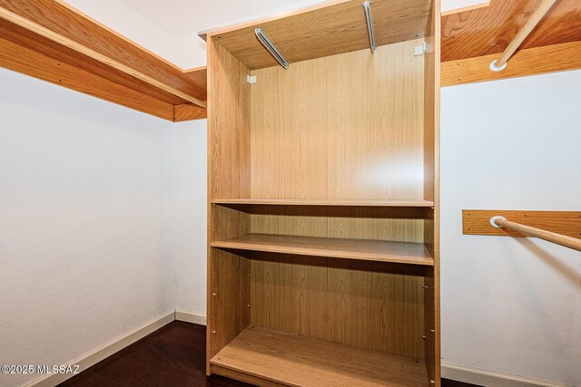 2607 E Adams St, Tucson, AZ 85716 - view of spacious closet