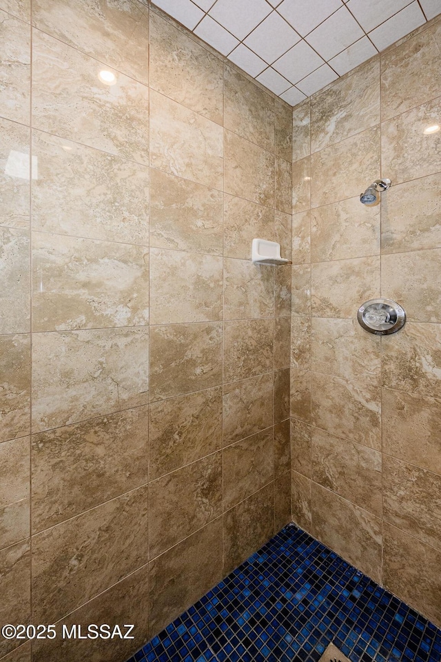 2607 E Adams St, Tucson, AZ 85716 - full bath featuring a tile shower