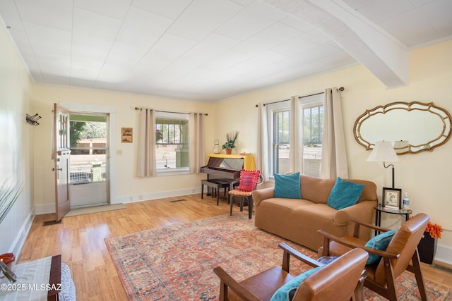 24 Black Knob, Bisbee, AZ 85603 - living room featuring light wood-type flooring, crown molding, and baseboards