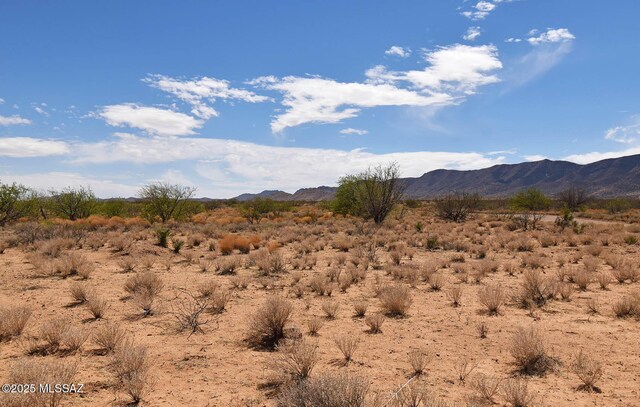 2.16ACRES S Middlemarch Rd Unit 8 & 9, Pearce, AZ 85625
