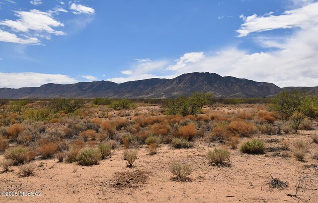 2.16ACRES S Middlemarch Rd Unit 8 & 9, Pearce, AZ 85625