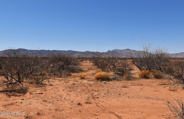 4ACRES E Bryant St Unit 2-4, Pearce, AZ 85625