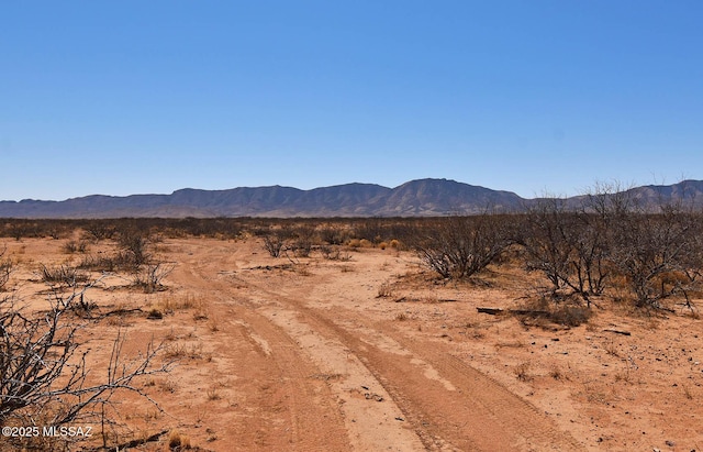 4ACRES E Bryant St Unit 2-4, Pearce, AZ 85625