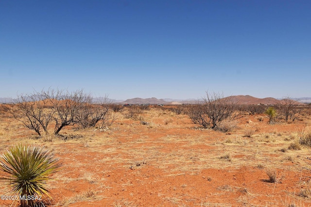 4ACRES E Bryant St Unit 2-4, Pearce, AZ 85625