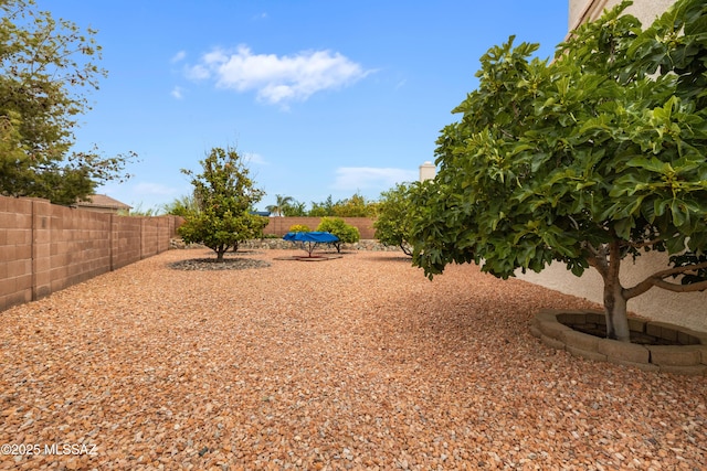 9429 N Elan Ln, Tucson, AZ 85742 - view of fenced backyard