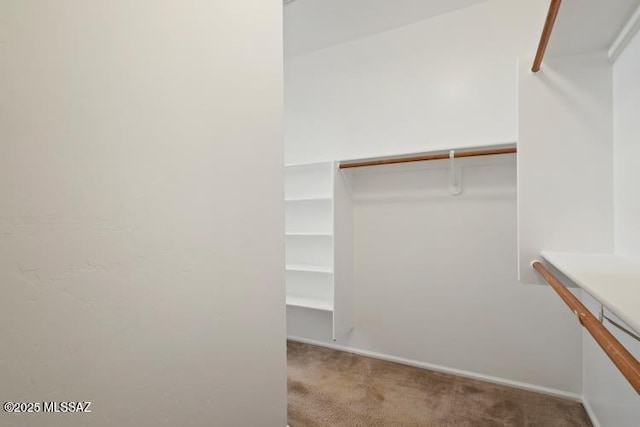 6902 W Leeward Cove Way, Tucson, AZ 85757 - walk in closet with carpet flooring