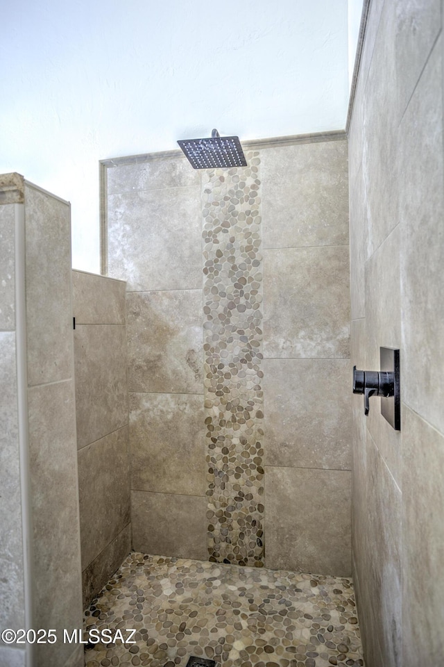 218 W Milbrae Springs Dr, Oro Valley, AZ 85755 - bathroom with tiled shower