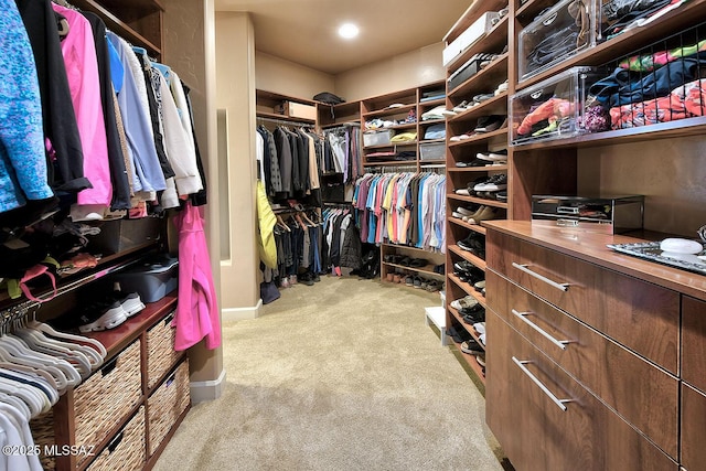 spacious closet featuring carpet
