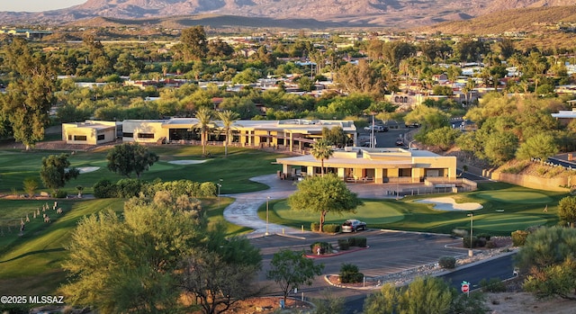9971 N Desert Sky Rd, Oro Valley, AZ 85737 - drone / aerial view of mountains and a golf course