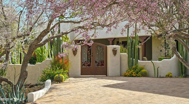 9971 N Desert Sky Rd, Oro Valley, AZ 85737 - view of front of house featuring french doors