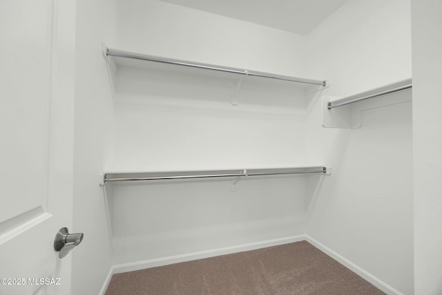 62742 E Oakwood Dr, Saddlebrooke, AZ 85739 - spacious closet with carpet flooring