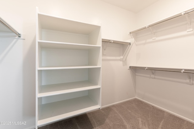 9734 E Miller Peak Trl, Tucson, AZ 85747 - walk in closet featuring carpet floors