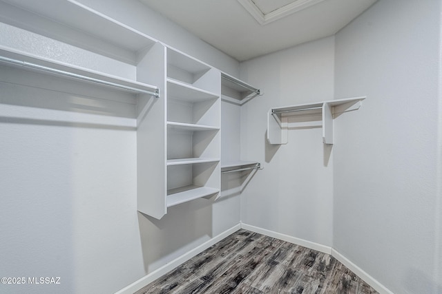 3526 E Farrier Dr, Tucson, AZ 85739 - walk in closet featuring dark wood-type flooring