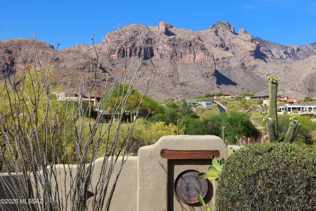 7020 N Chaparral Ave, Tucson, AZ 85718 - mountain view