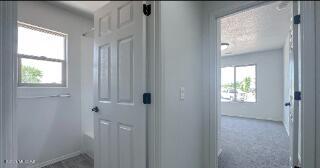 entryway with healthy amount of natural light