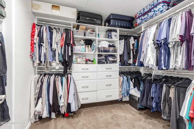14247 E Axle Dr, Vail, AZ 85641 - walk in closet featuring carpet