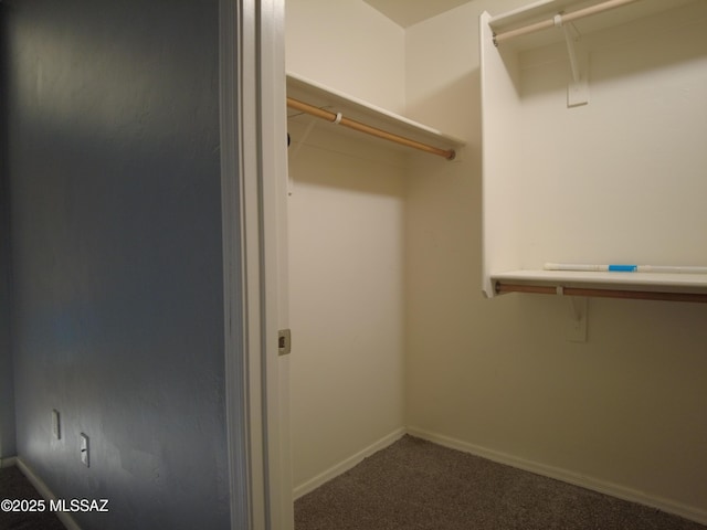 6700 S Stone Fly Dr, Tucson, AZ 85757 - spacious closet with carpet