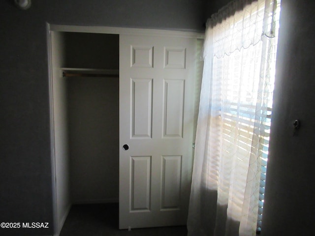 6700 S Stone Fly Dr, Tucson, AZ 85757 - view of closet