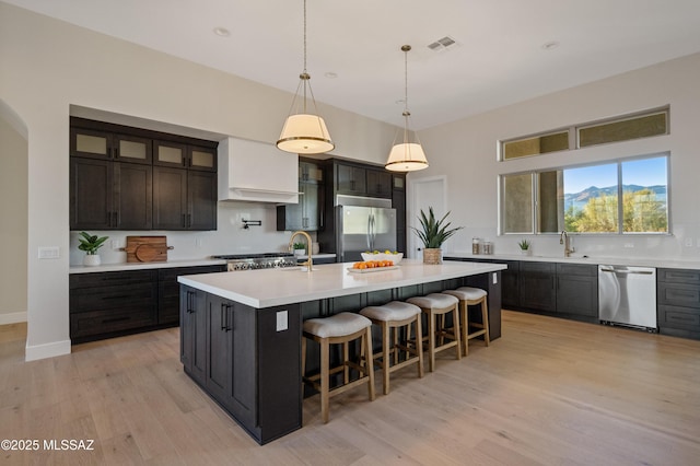 kitchen with stainless steel appliances, light countertops, a sink, light wood-style flooring, and a large island with sink