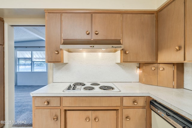 5301 E 4th St, Tucson, AZ 85711 - kitchen featuring white appliances, under cabinet range hood, light countertops, and light brown cabinets