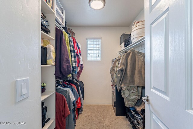 10487 S Cutting Horse Dr, Vail, AZ 85641 - walk in closet featuring light carpet