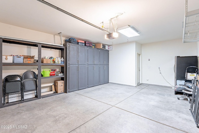 10487 S Cutting Horse Dr, Vail, AZ 85641 - garage with a garage door opener and baseboards