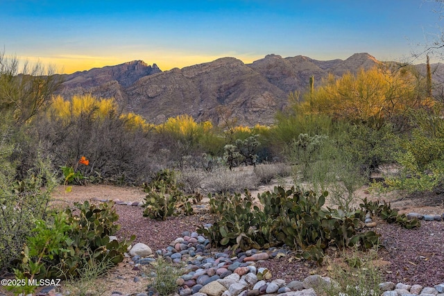 4921 E Camino De Los Olivos, Tucson, AZ 85718 - view of mountain backdrop
