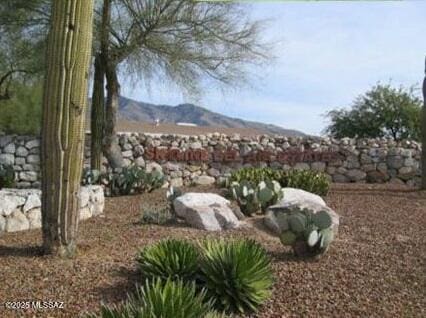 4921 E Camino De Los Olivos, Tucson, AZ 85718 - view of yard featuring a mountain view