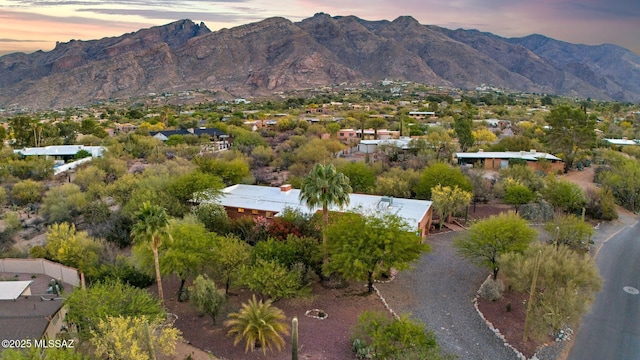 4921 E Camino De Los Olivos, Tucson, AZ 85718 - mountain view