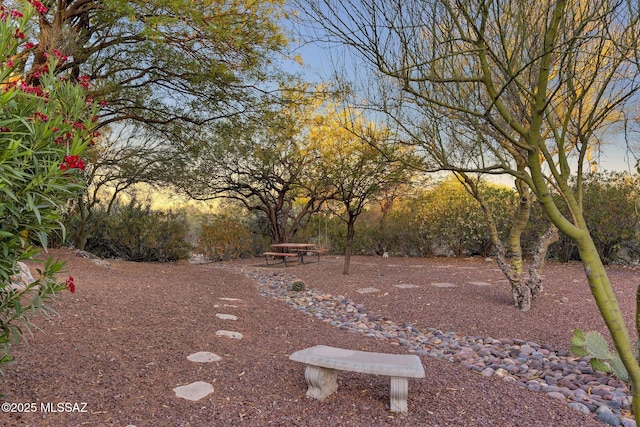 4921 E Camino De Los Olivos, Tucson, AZ 85718 - view of yard