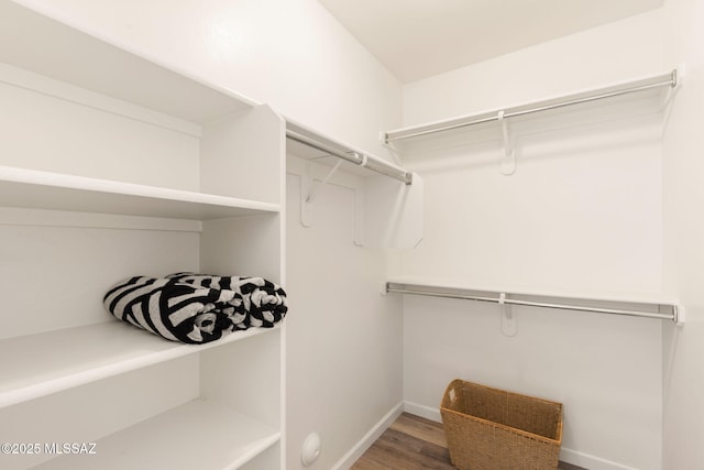 12356 N Globe Mallow Pl, Marana, AZ 85658 - spacious closet with wood finished floors