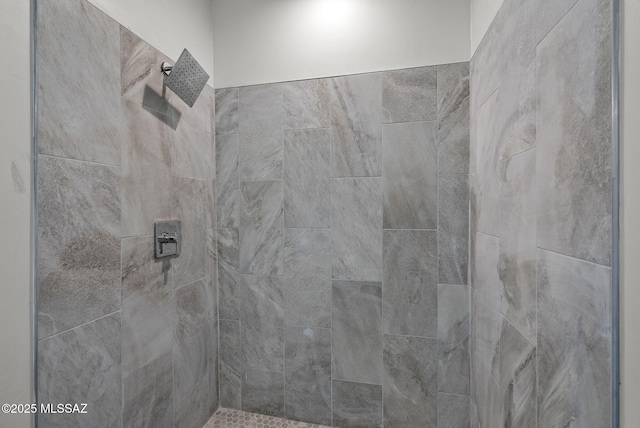 1895 Roma Ct, Rio Rico, AZ 85648 - bathroom with tiled shower