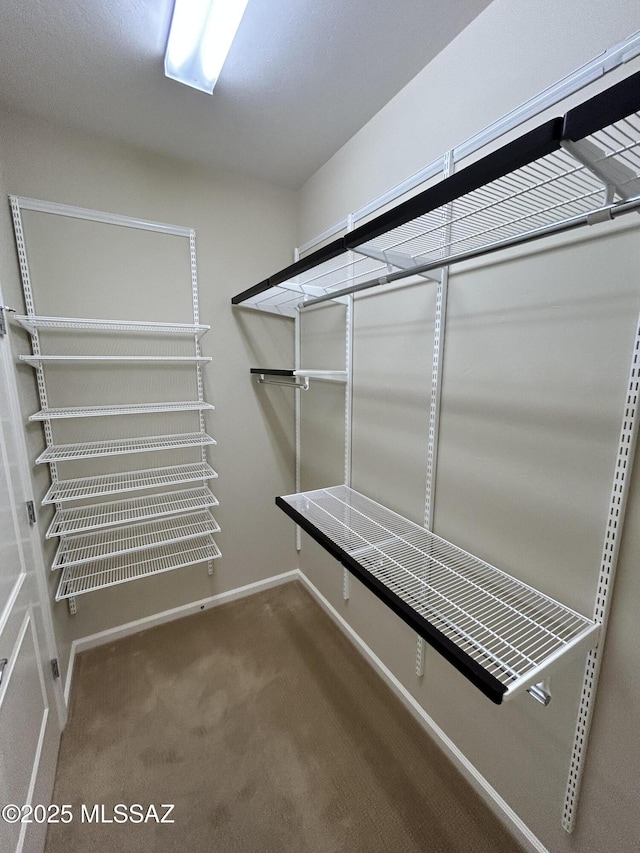 60422 E Arroyo Vista Dr, Oracle, AZ 85623 - walk in closet featuring carpet