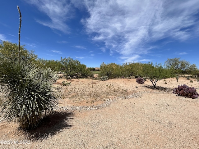 60422 E Arroyo Vista Dr, Oracle, AZ 85623 - view of nature
