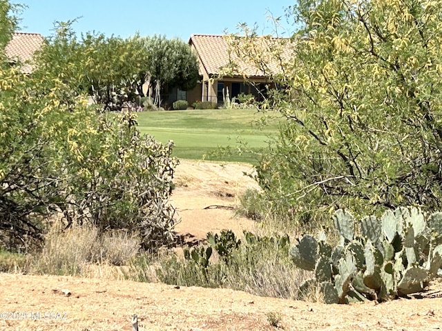 60422 E Arroyo Vista Dr, Oracle, AZ 85623 - view of green lawn