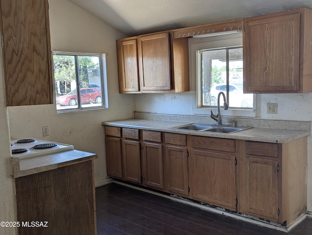 kitchen featuring a sink, lofted ceiling, dark wood finished floors, light countertops, and stovetop