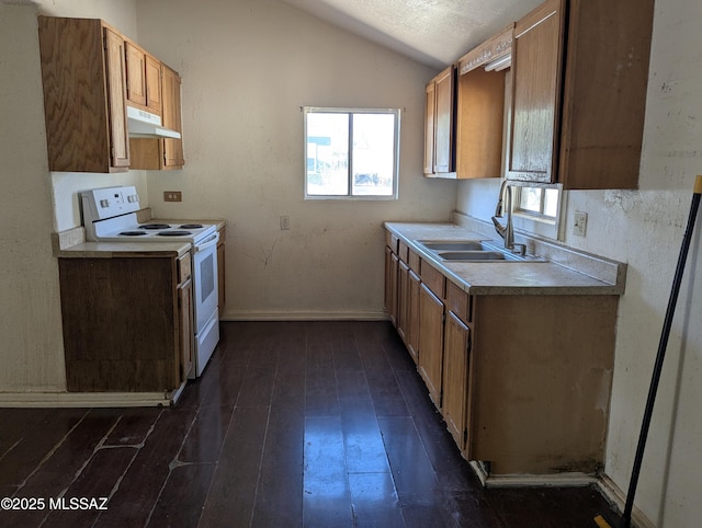 kitchen featuring white electric stove, under cabinet range hood, vaulted ceiling, plenty of natural light, and dark wood-type flooring