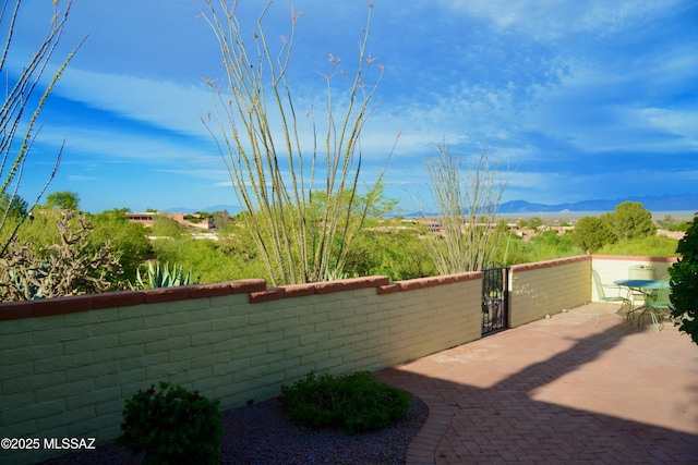 980 W Camino Sagasta, Green Valley, AZ 85622 - view of yard featuring a mountain view, fence, and a gate