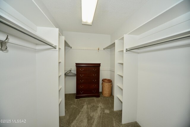 980 W Camino Sagasta, Green Valley, AZ 85622 - spacious closet featuring carpet