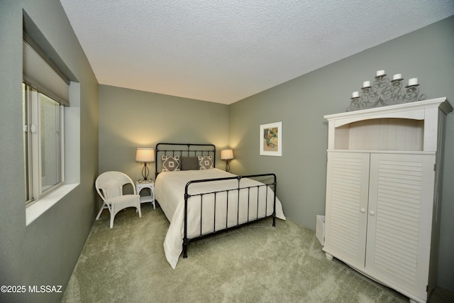 980 W Camino Sagasta, Green Valley, AZ 85622 - carpeted bedroom featuring a textured ceiling