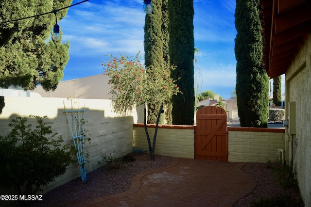 980 W Camino Sagasta, Green Valley, AZ 85622 - view of patio / terrace with a gate and fence
